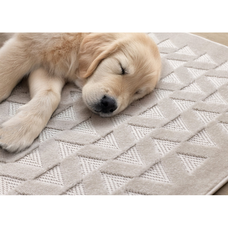 Tapis ivoire à motif géométrique Kahana, Rectangle 5 pi 3 po x 7 pi 7 po