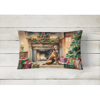  Other/No Pattern Throw Pillow