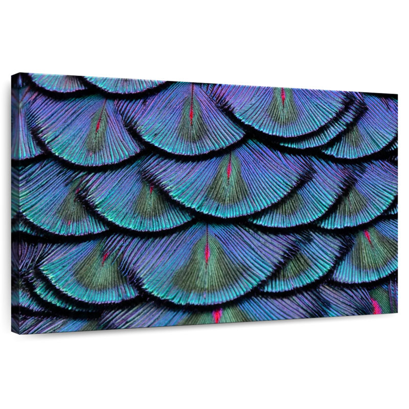 Peacock Tail Feathers, 26" H x 39" W