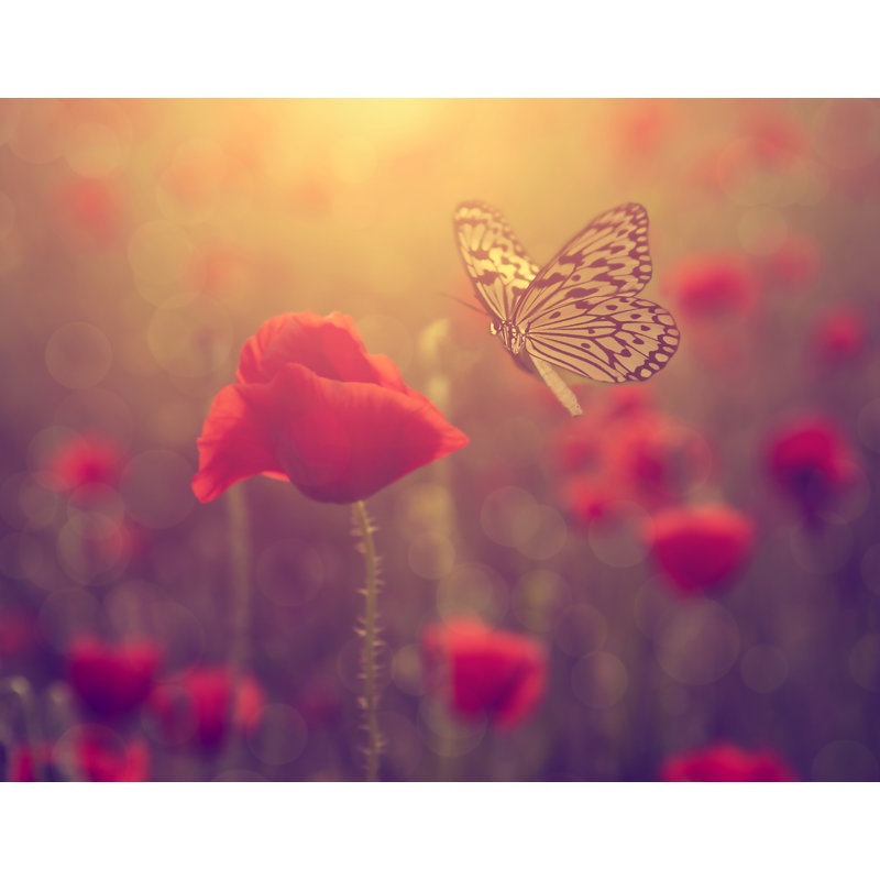 Décalcomanie murale d’art amovible papillon et rose, H 18 po x l 24 po