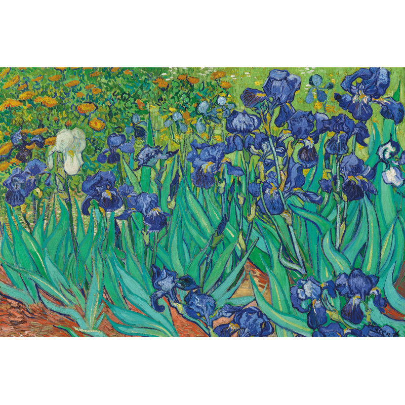 « Iris » par Vincent Van Gogh - reproduction sur toile tendue, H 24 po x l 32 po, Toile tendue, Non
