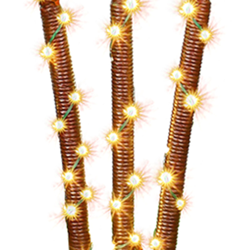 Arbre illuminé