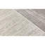 Area Rug in Ivory