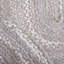 Cotton Hand Woven Area Rug-1368636293