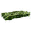 Vidaxl Balcony Screen With Leaves Garden Sunshade Dark Green/Green Multi Sizes-126704070