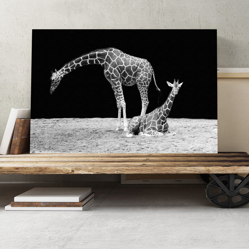 Black and White Photographic - Wrapped Canvas, 50cm H x 76cm W