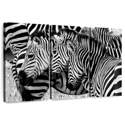 Brampt Zebra Faces
