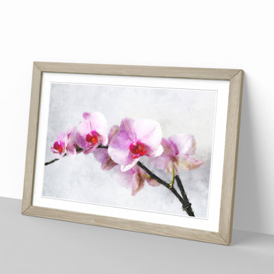 Orchid Flowers Vol.5 - Picture Frame Painting