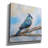 'Titmouse' by Jeanette Vertentes Canvas Wall Art-1836037357