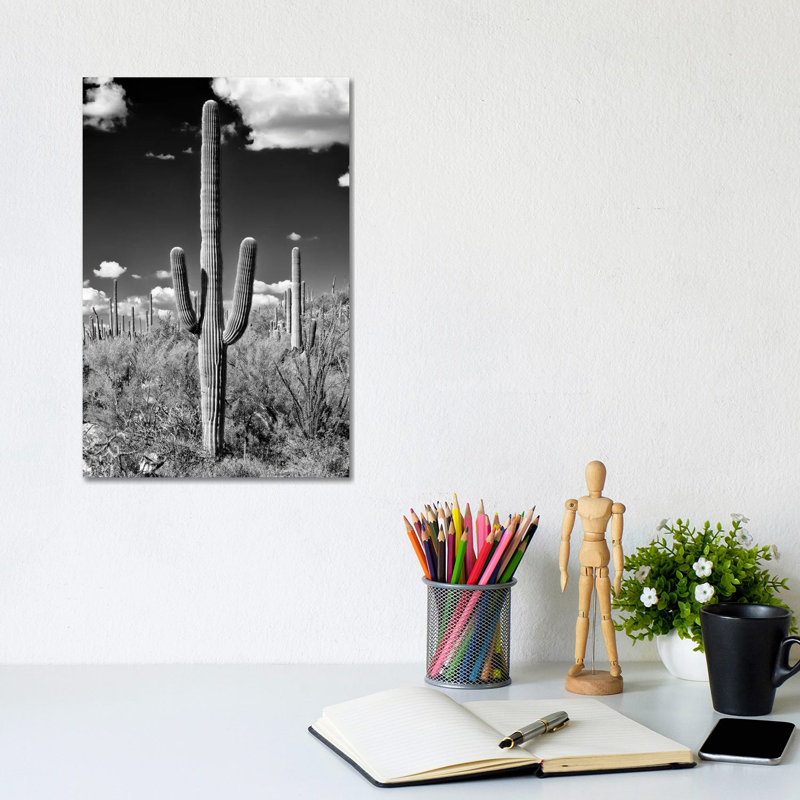 Saguaro Cactus II by Philippe Hugonnard - Wrapped Canvas Print, 20.32 cm H x 30.48 cm W