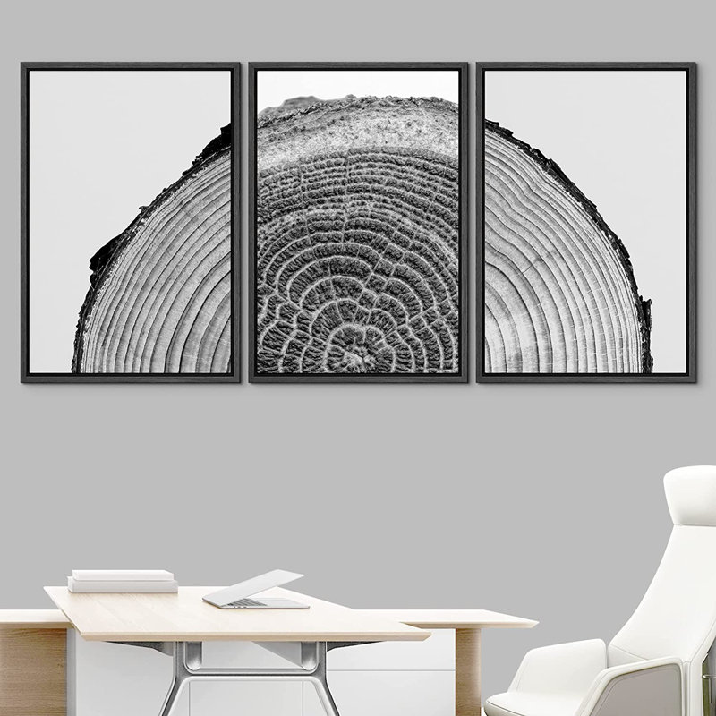 Black Framed Nature Tree Rings Canvas Print Set