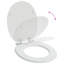 Soft-Close Toilet Seat 2 Pcs 44 X 38 Cm MDF Board-255312905