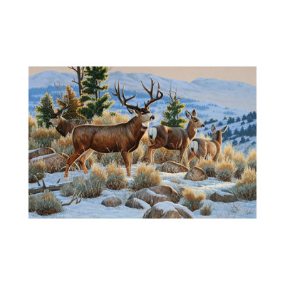 «Mule Deer Snow» par Cynthie Fisher - impression sur toile tendue
