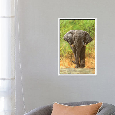 African Elephant Staredown - Print on Canvas