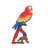 Macaw Statue-18361895