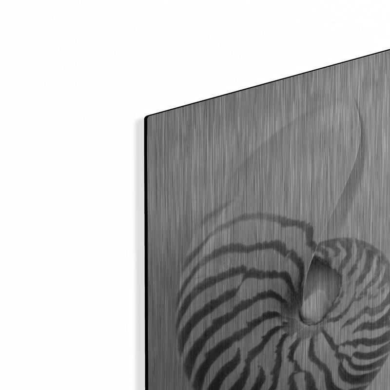 "Nautilus 2" par Debra Van Swearingen, H 16 po x l 12 po