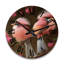 Horloge murale Warrensburg-1463234069