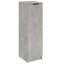 Shoe Cabinet 30x35x100 cm Engineered Wood-1784538904