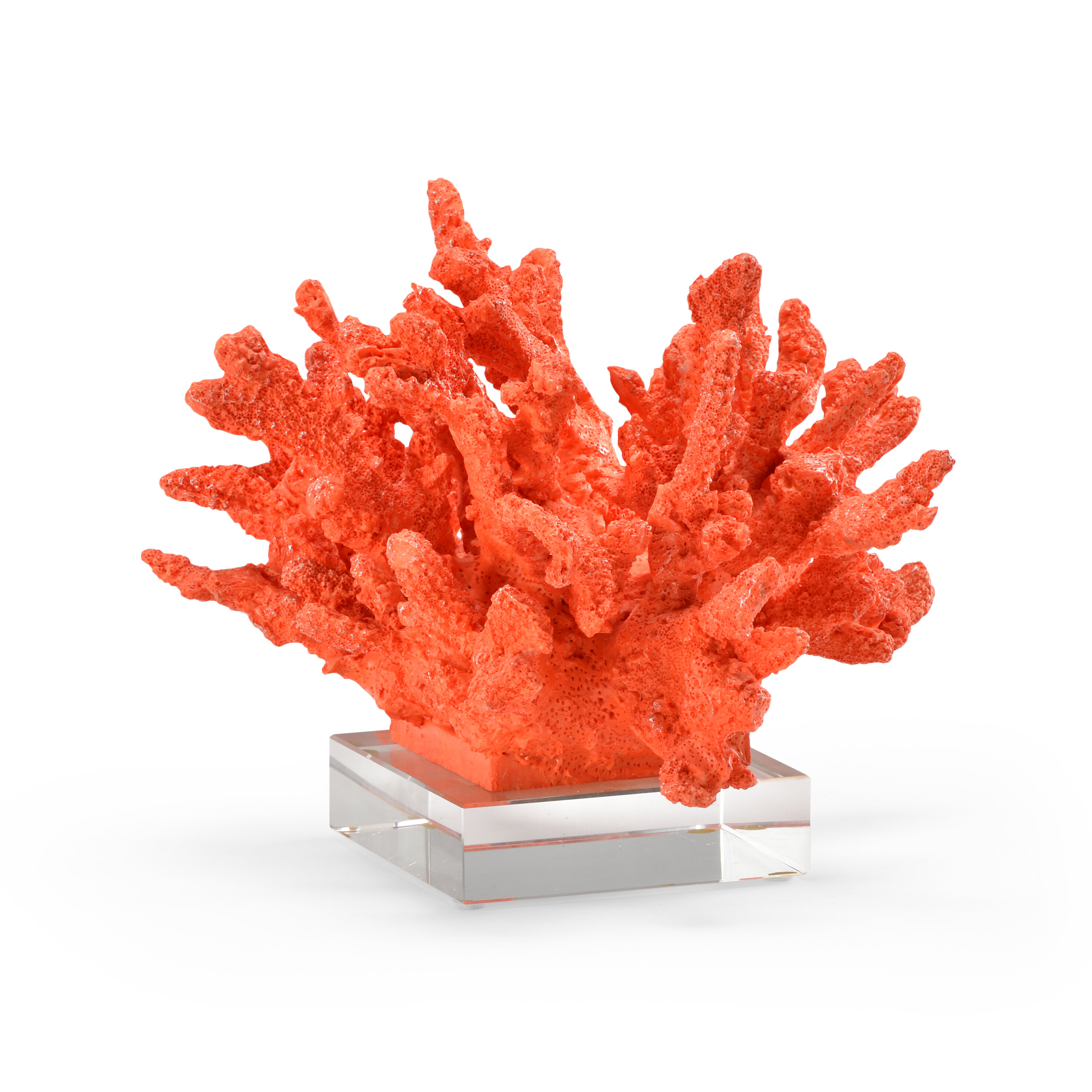 Regina Andrew White White Ribbon Coral on Crystal Base Small (5 - 10 H)