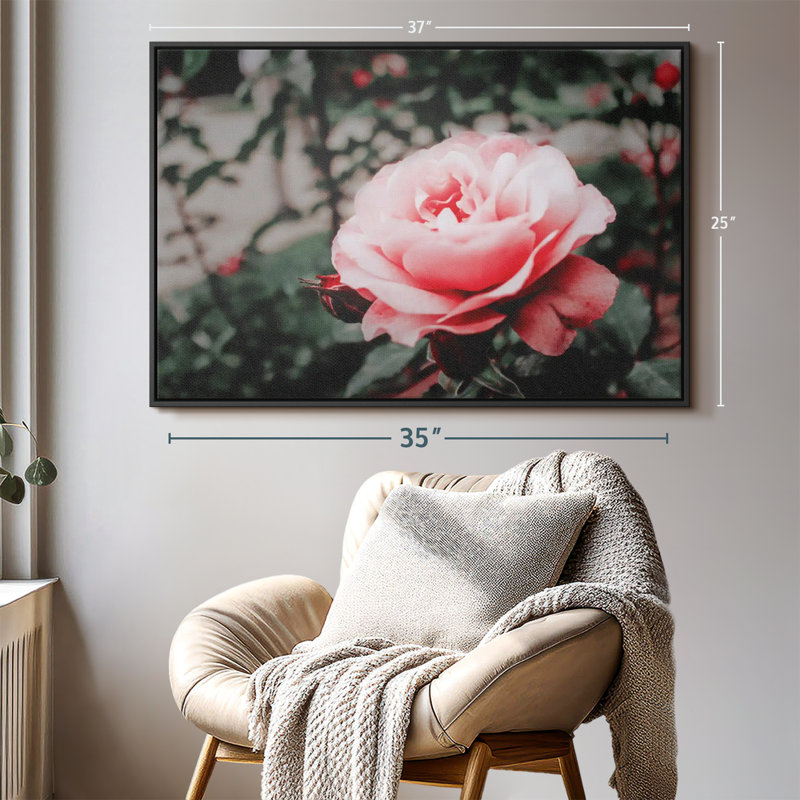 Impression sur toile rose rose, H 25 po x l 37 po