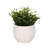 Textured Pottery Terracotta Planter With Raised Dot Design And Rounded Body - Decorative Handcrafted Clay Planter For Indoor Outdoor Display - Artisan Style Pot For Home Garden Decor-869275283