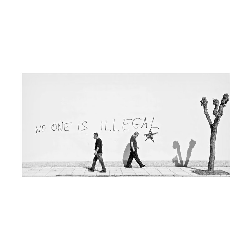 Art sur toile de Martin Sander, H 10 po x l 19 po