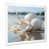 White Single Picture Framed