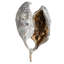 Grappes de brachy blanc givré 5 à 9 po Primrue, plateau de 1,1 lb, séché