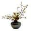 Southern Magnolias