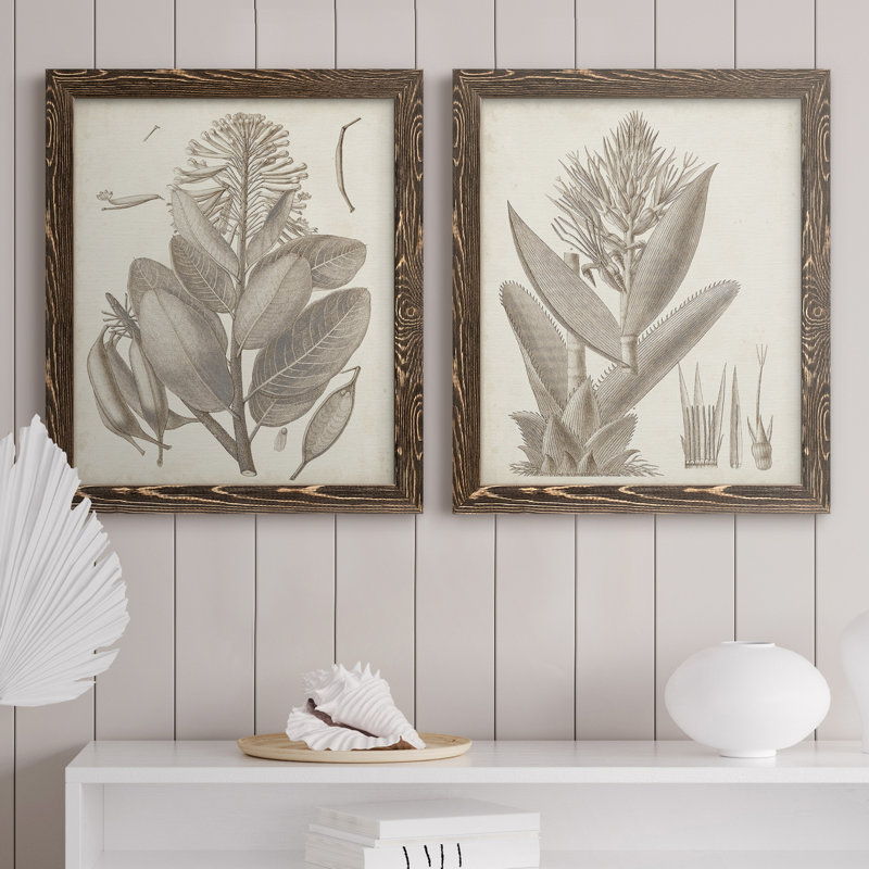 Sépia plantes exotiques I - ensemble de 2 reproductions de dessins encadrés, H 20 po x l 17 po x P 1 po