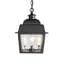 4 - Light LED Outdoor Hanging Light