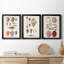 Shell Collection IV - Ensemble de 3 peintures sur toiles encadrées-2098524075-2098524078