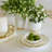 AERIN Ceramic Platter