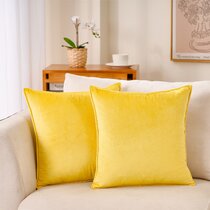 https://assets.wfcdn.com/im/93139108/resize-h210-w210%5Ecompr-r85/1887/188746168/Quesha+Velvet+Pillow+Cover+%28Set+of+2%29.jpg