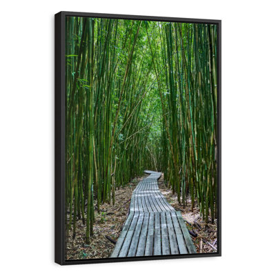 Hana Bamboo Forest
