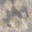 Tapis gris clair tissé à la machine abstrait 4 pi x 6 pi résistant aux taches