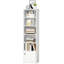 156cm H x 40cm W Standard Bookcase
