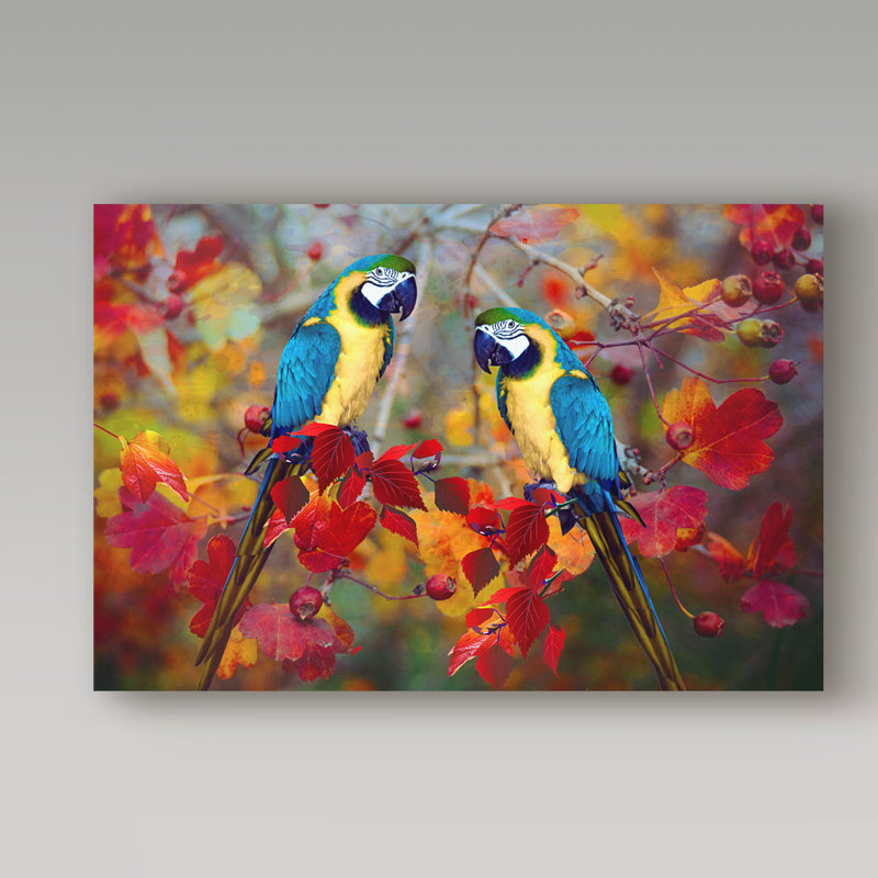 «Bird Collection 19», reproduction d'impression sur toile tendue, 16 po x 24 po