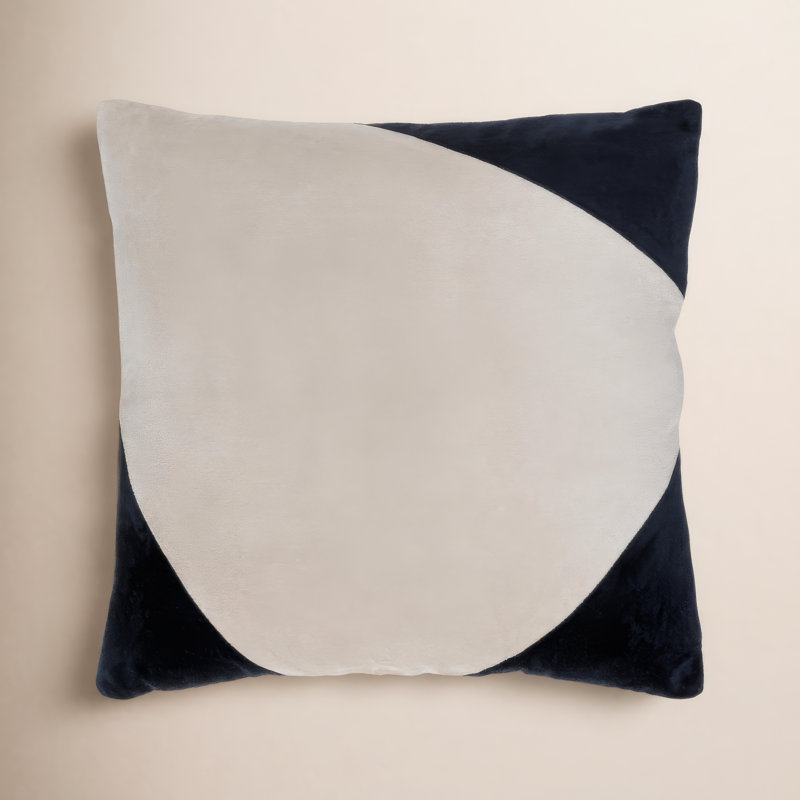 Denny Cotton Pillow Cover, Polyester/Polyfill, 22" x 22", Black