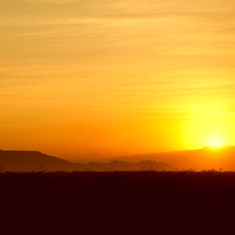 Coucher de soleil doré par Guenterguni, H 20 po x l 20 po