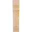 Corbeau Pescadero-1571285247-1571285245-1571285273