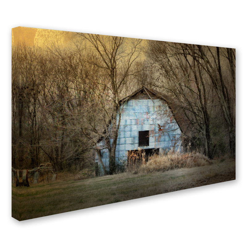 «Redtail at the Blue Barn», reproduction de photo sur toile tendue Vidur, H 22 po x l 32 po