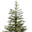 4' H Lighted Artificial Pine Christmas Tree