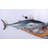 Mackerel Tuna Statue