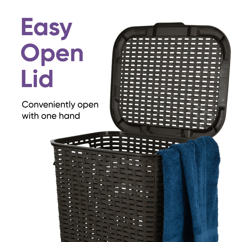 Plastic Laundry Hamper with Handles, Brown 