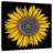 Harnek Sunflower Mandala