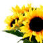 Sunflower Floral Arrangement in Mason Jar
