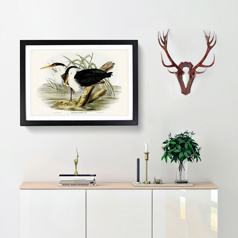 Pied Egrets by Elizabeth Gould - Picture Frame Painting Print, 48cm H x 65cm W x 2cm D, Black Framed