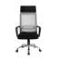 Ellison Mesh Office Chair with Headrest