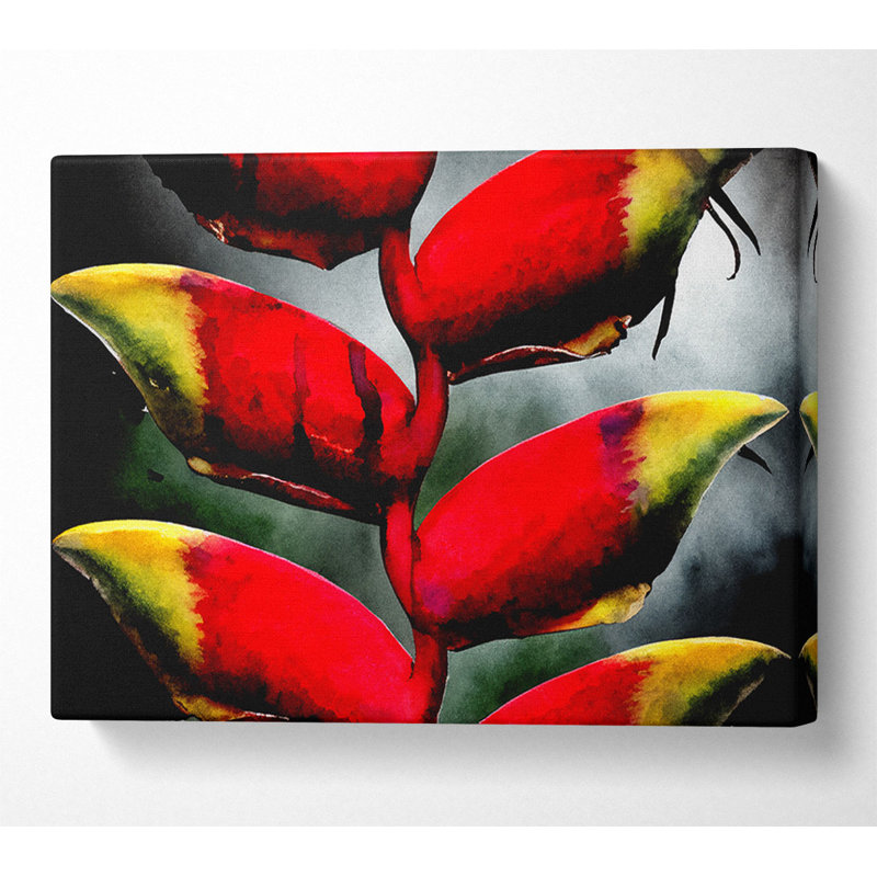 Heliconia Pendula Inflorescence - Wrapped Canvas Print, 66cm H x 106.6cm W x 10cm D